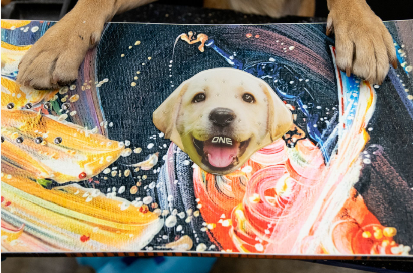 Lab Snowboard Stomp Pad
